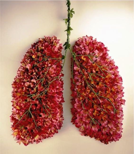 [:es]pulmones flors[:]