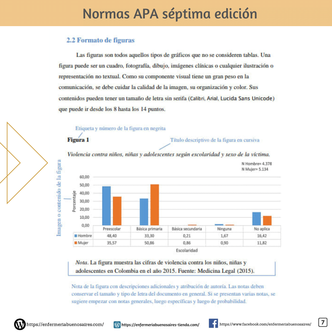 Normas Apa Edici N